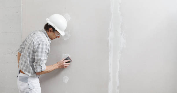 Best Wallpaper Removal and Painting  in South Valley, NM